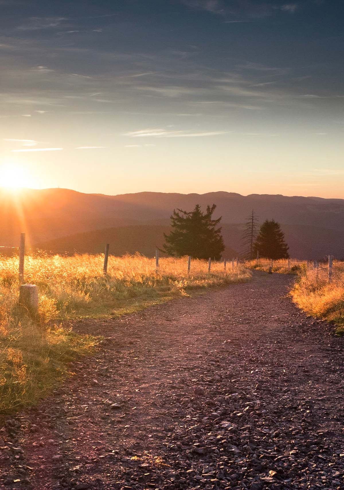 Ein einladender von Wiesen gesäumter Schotterweg führt im Sonnenaufgang in den Bergen zum Horizont